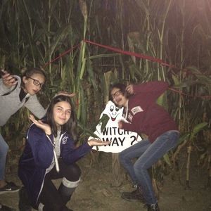 Meet your Posher, Lily